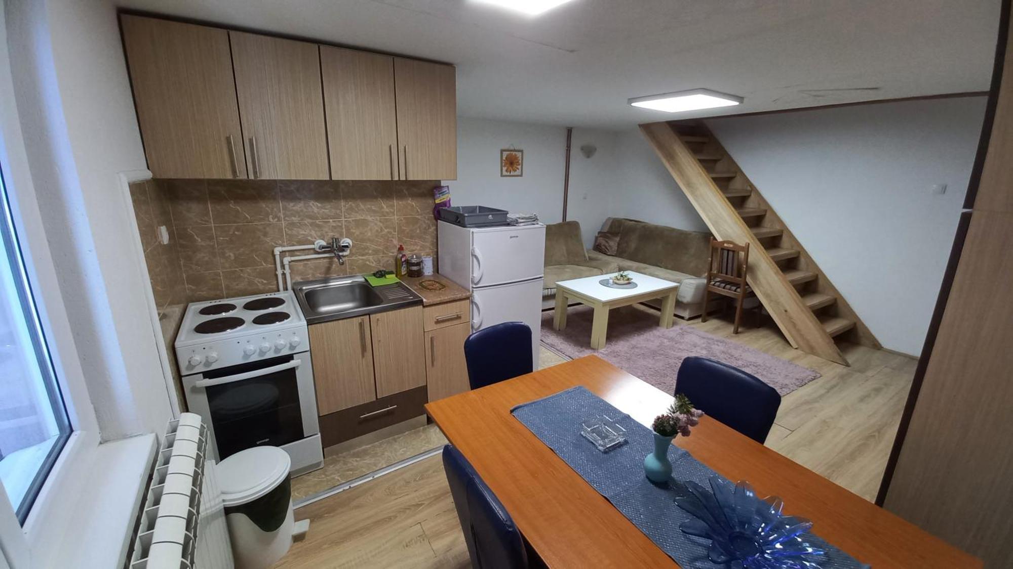 Kopaonik Apartman Aleksandar Buitenkant foto